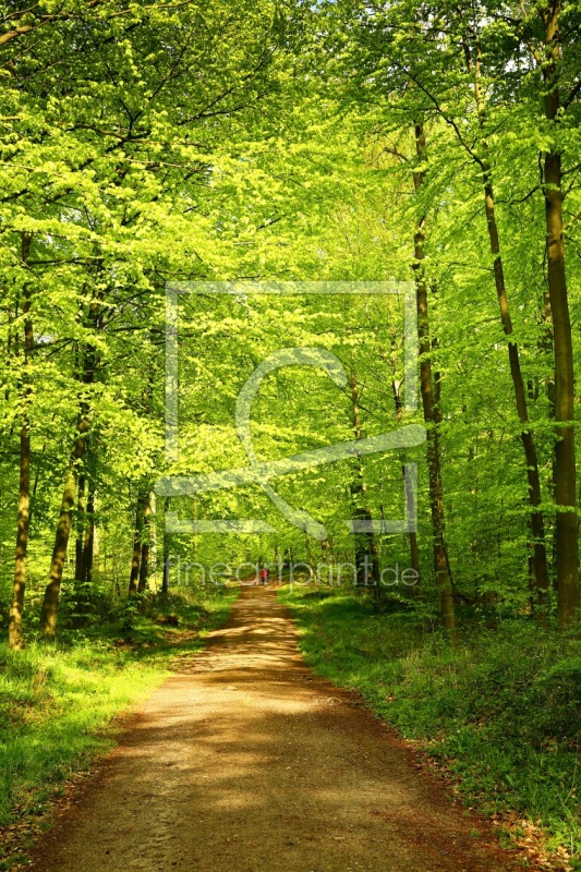 frei wählbarer Bildausschnitt für Ihr Bild auf Grußkarte