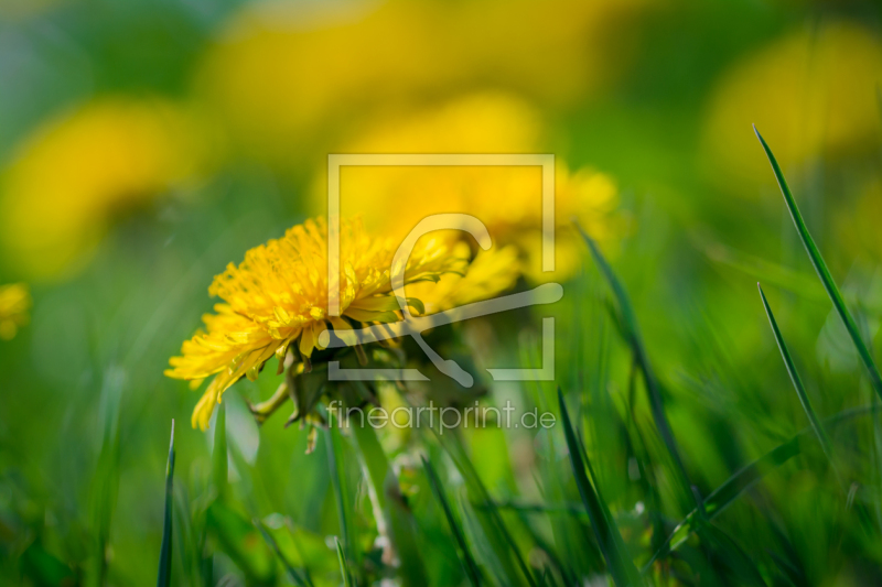 frei wählbarer Bildausschnitt für Ihr Bild auf Grußkarte