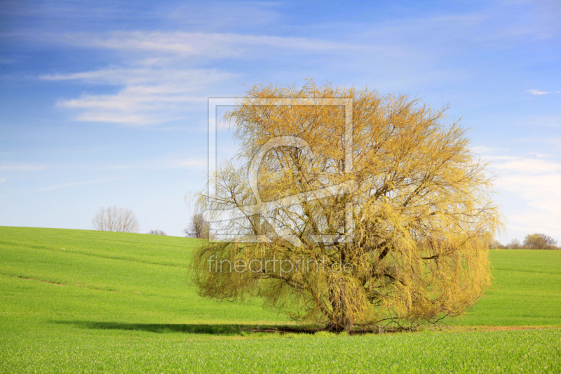 frei wählbarer Bildausschnitt für Ihr Bild auf Grußkarte