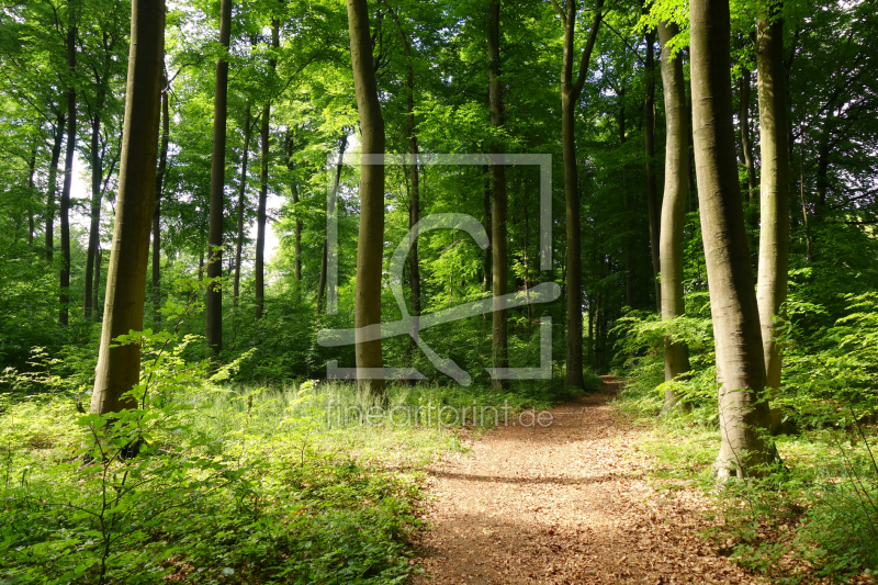 frei wählbarer Bildausschnitt für Ihr Bild auf Grußkarte