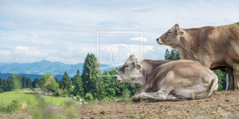 frei wählbarer Bildausschnitt für Ihr Bild auf Grußkarte