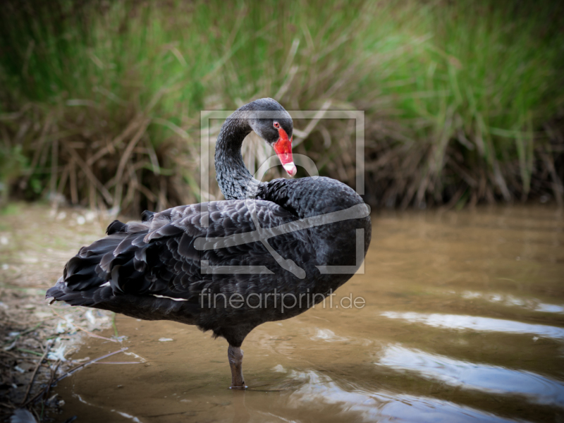 frei wählbarer Bildausschnitt für Ihr Bild auf Grußkarte