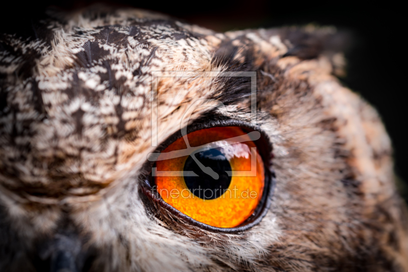 frei wählbarer Bildausschnitt für Ihr Bild auf Grußkarte