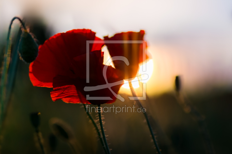 frei wählbarer Bildausschnitt für Ihr Bild auf Grußkarte