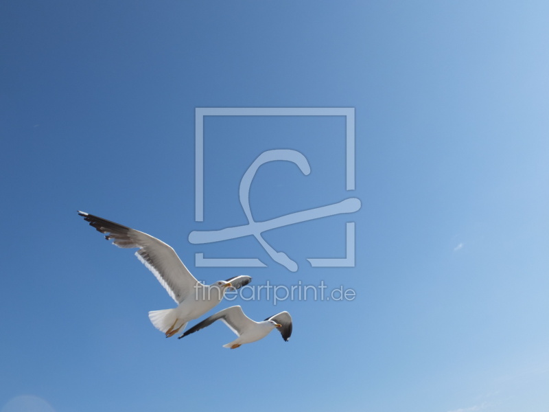 frei wählbarer Bildausschnitt für Ihr Bild auf Grußkarte