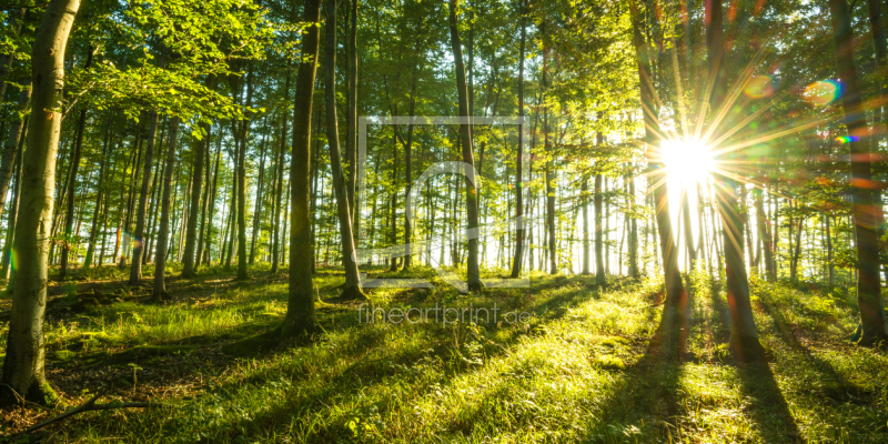 frei wählbarer Bildausschnitt für Ihr Bild auf Grußkarte