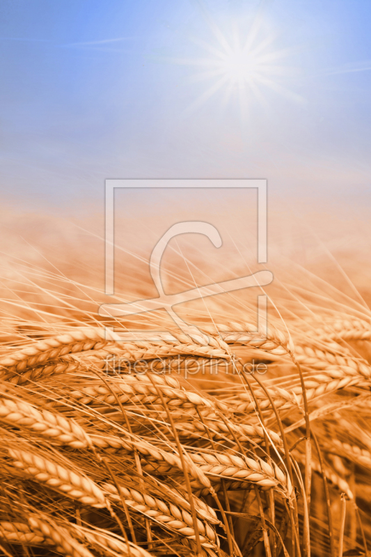 frei wählbarer Bildausschnitt für Ihr Bild auf Grußkarte