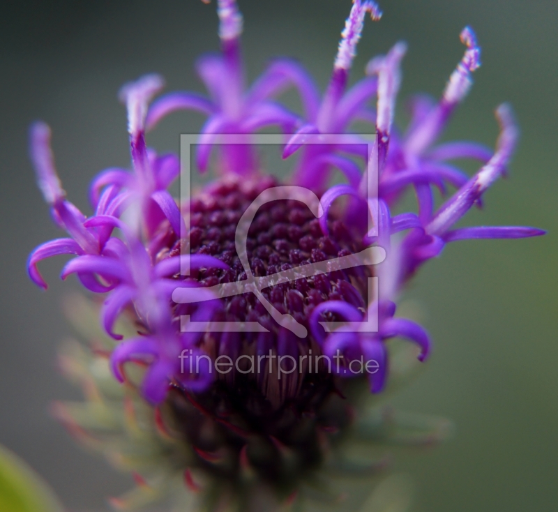 frei wählbarer Bildausschnitt für Ihr Bild auf Grußkarte