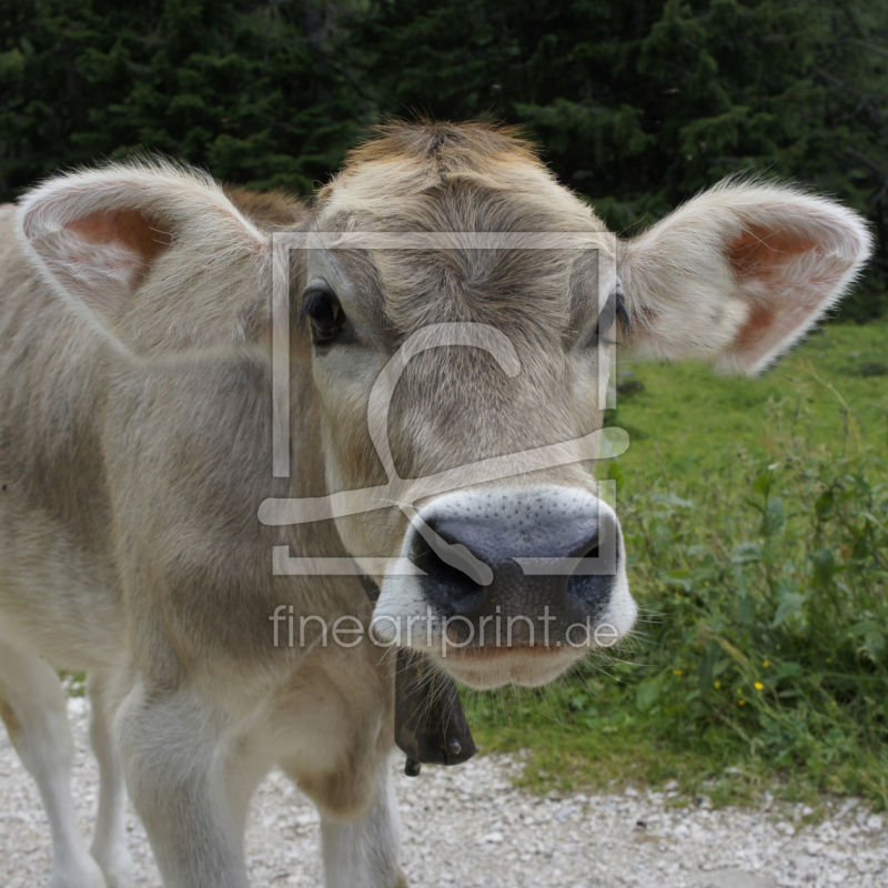 frei wählbarer Bildausschnitt für Ihr Bild auf Grußkarte