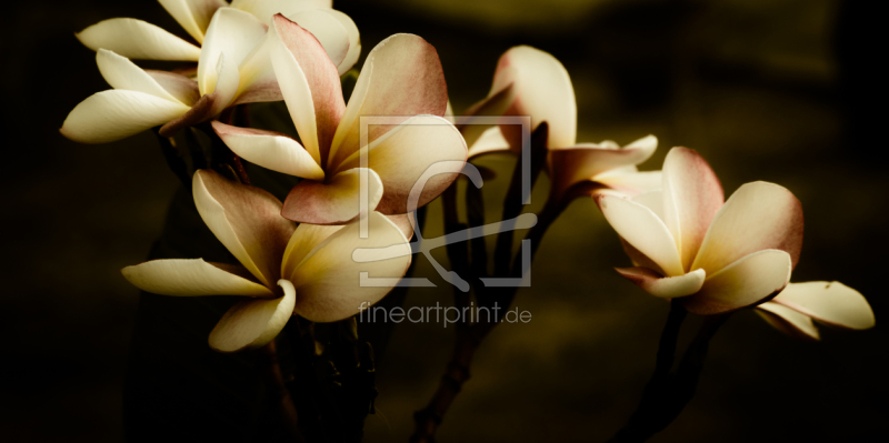 frei wählbarer Bildausschnitt für Ihr Bild auf Grußkarte