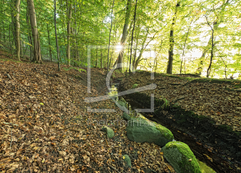 frei wählbarer Bildausschnitt für Ihr Bild auf Grußkarte