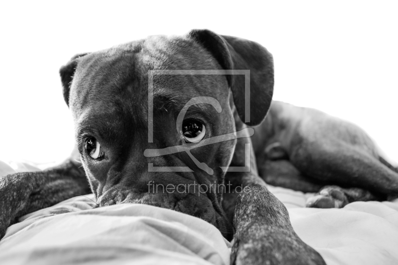 frei wählbarer Bildausschnitt für Ihr Bild auf Grußkarte