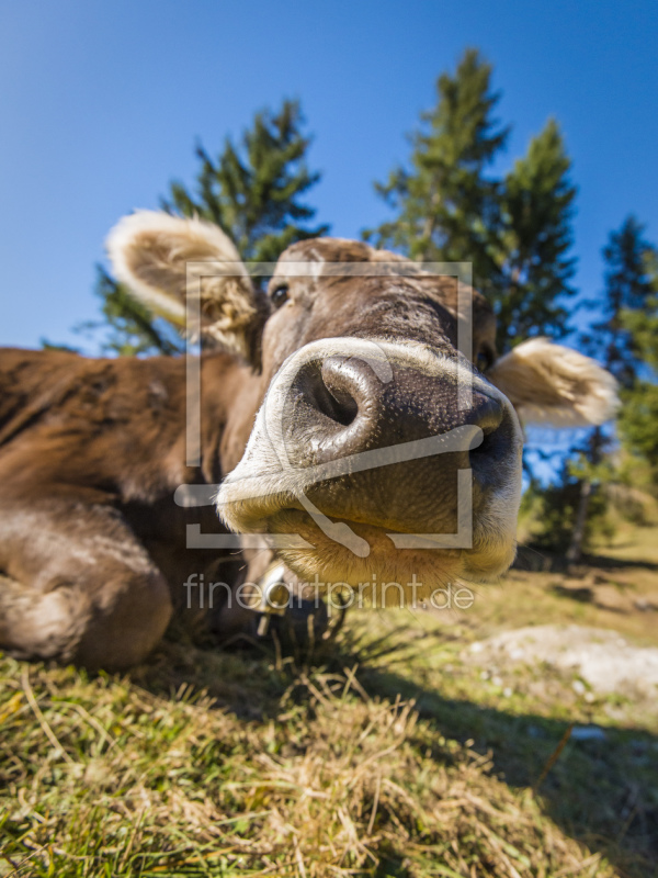 frei wählbarer Bildausschnitt für Ihr Bild auf Grußkarte