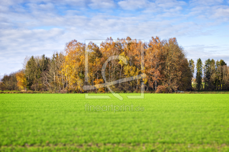 frei wählbarer Bildausschnitt für Ihr Bild auf Grußkarte