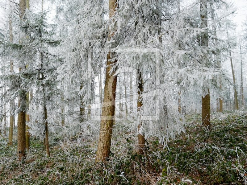 frei wählbarer Bildausschnitt für Ihr Bild auf Grußkarte