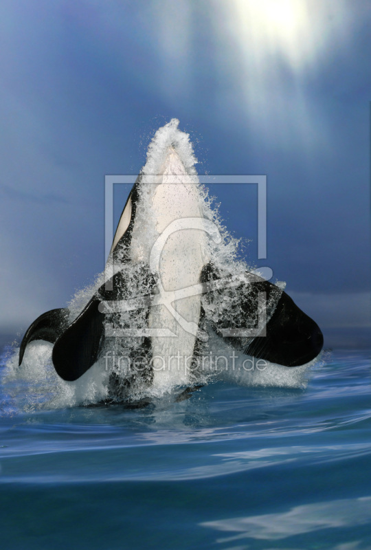 frei wählbarer Bildausschnitt für Ihr Bild auf Grußkarte