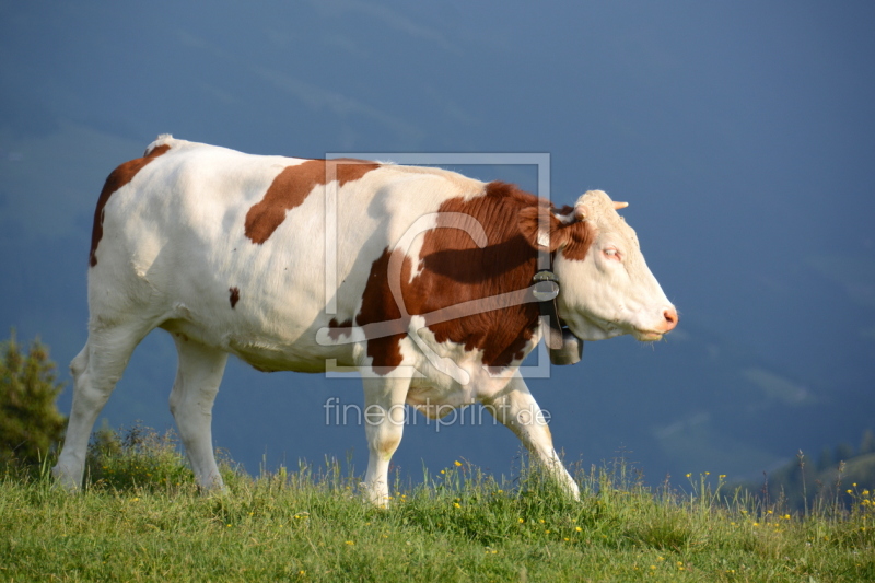 frei wählbarer Bildausschnitt für Ihr Bild auf Grußkarte