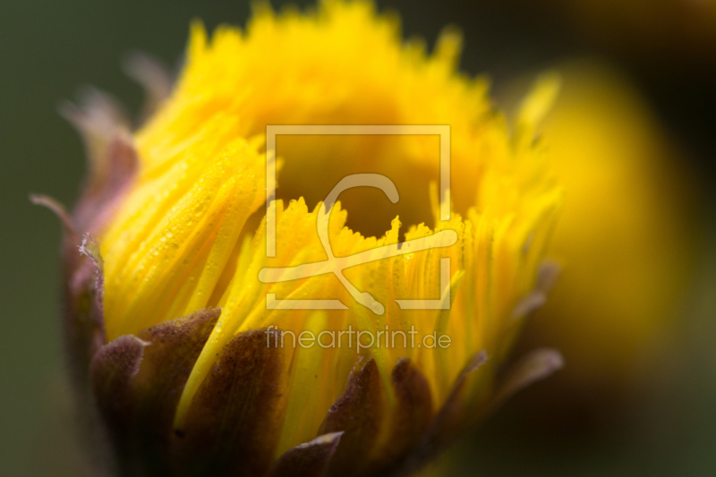 frei wählbarer Bildausschnitt für Ihr Bild auf Grußkarte