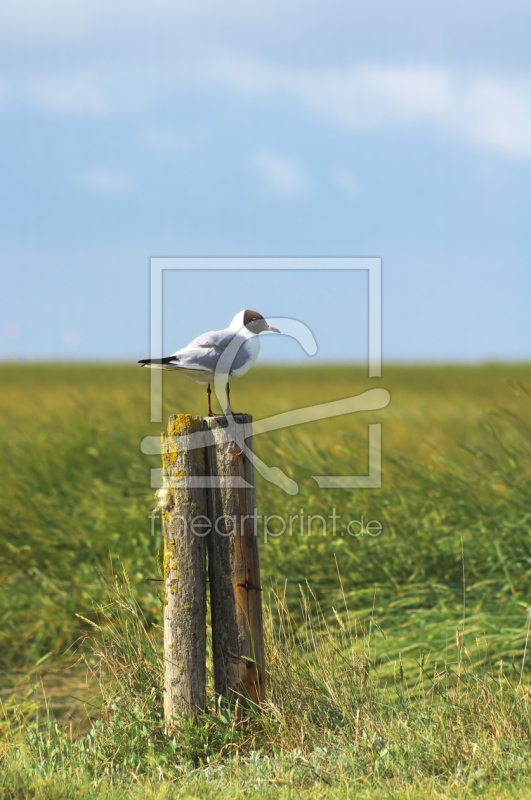 frei wählbarer Bildausschnitt für Ihr Bild auf Grußkarte