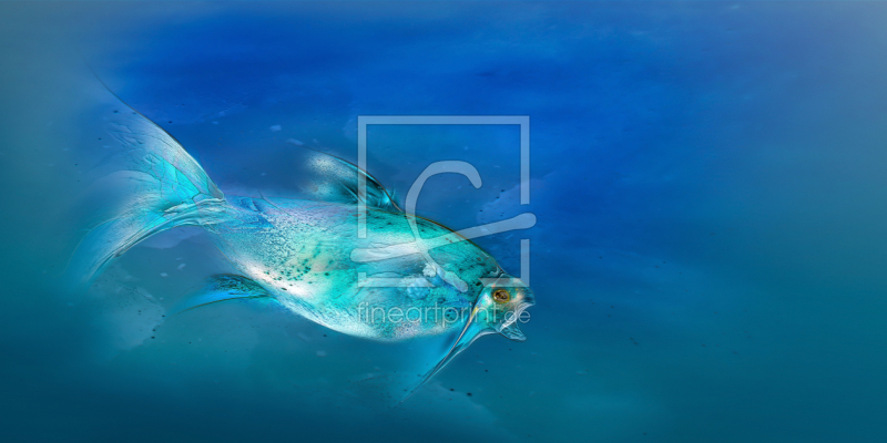 frei wählbarer Bildausschnitt für Ihr Bild auf Grußkarte