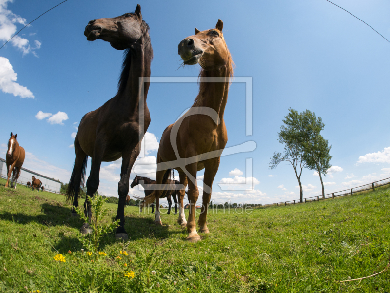 frei wählbarer Bildausschnitt für Ihr Bild auf Grußkarte