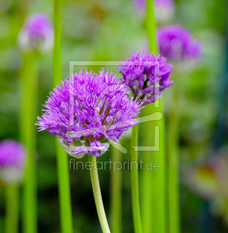 frei wählbarer Bildausschnitt für Ihr Bild auf Grußkarte