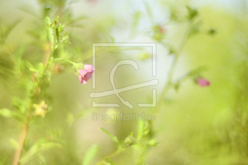 frei wählbarer Bildausschnitt für Ihr Bild auf Grußkarte