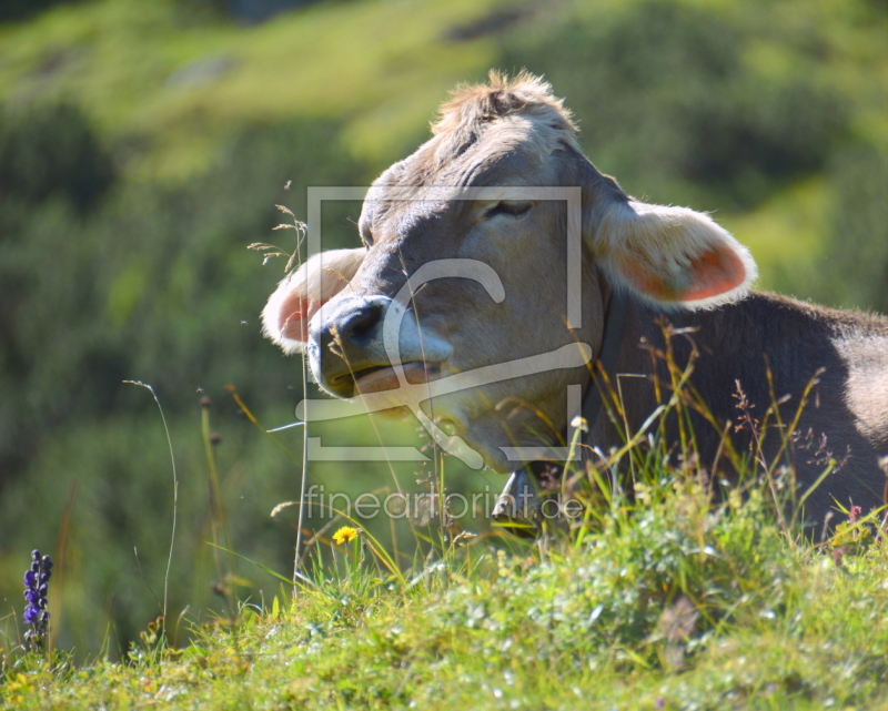 frei wählbarer Bildausschnitt für Ihr Bild auf Grußkarte