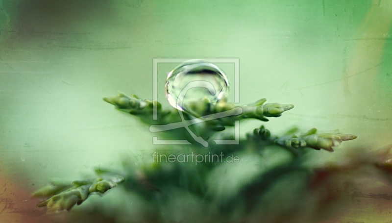 frei wählbarer Bildausschnitt für Ihr Bild auf Grußkarte