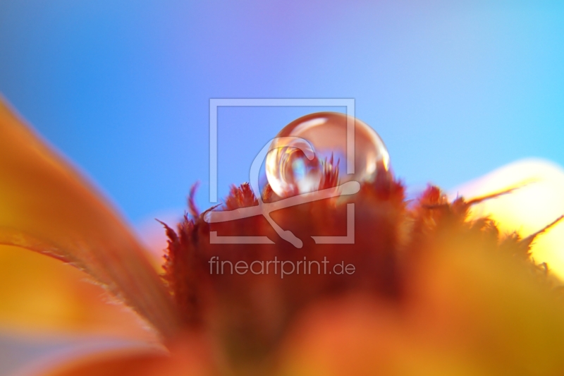 frei wählbarer Bildausschnitt für Ihr Bild auf Grußkarte