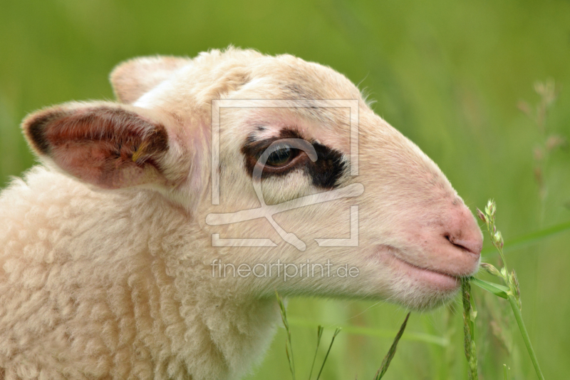 frei wählbarer Bildausschnitt für Ihr Bild auf Grußkarte