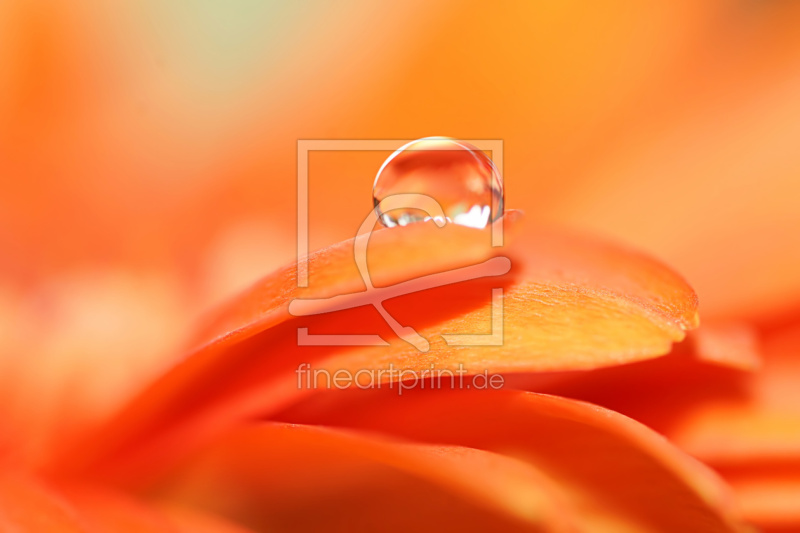 frei wählbarer Bildausschnitt für Ihr Bild auf Grußkarte