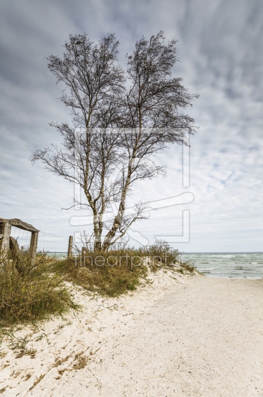 frei wählbarer Bildausschnitt für Ihr Bild auf Grußkarte