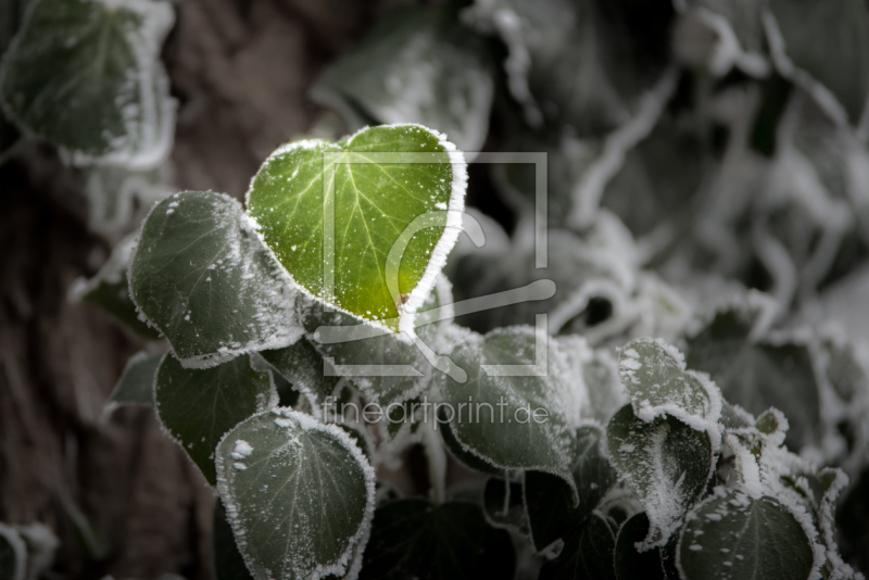 frei wählbarer Bildausschnitt für Ihr Bild auf Grußkarte