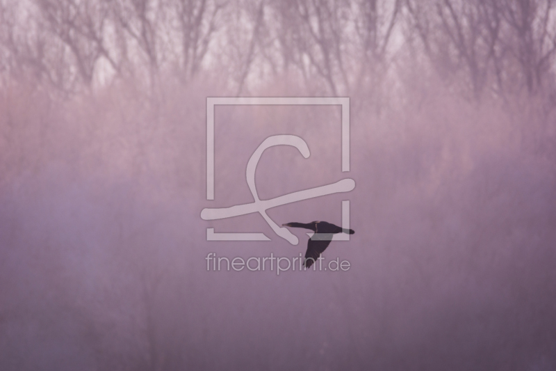 frei wählbarer Bildausschnitt für Ihr Bild auf Grußkarte