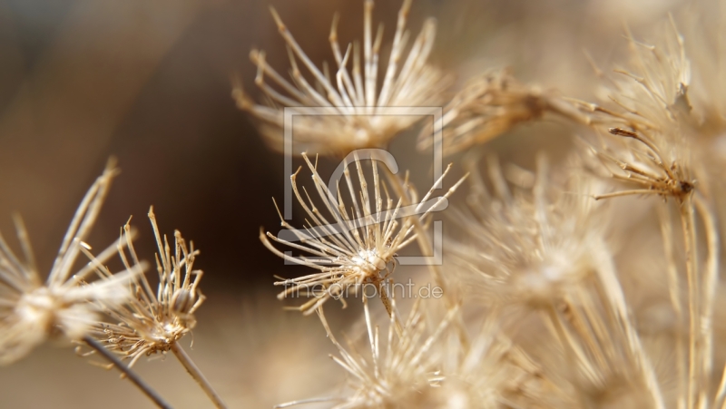 frei wählbarer Bildausschnitt für Ihr Bild auf Grußkarte