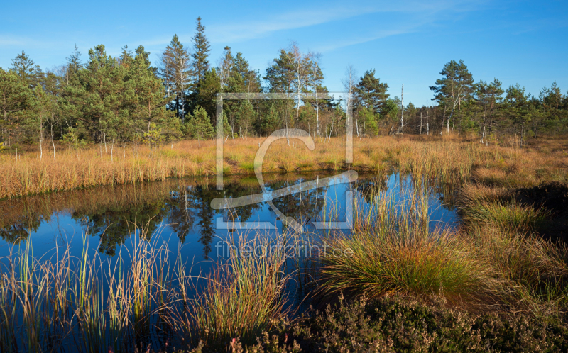 frei wählbarer Bildausschnitt für Ihr Bild auf Grußkarte