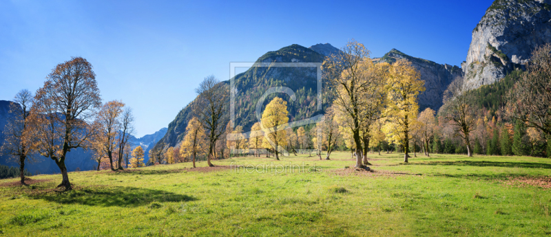 frei wählbarer Bildausschnitt für Ihr Bild auf Grußkarte