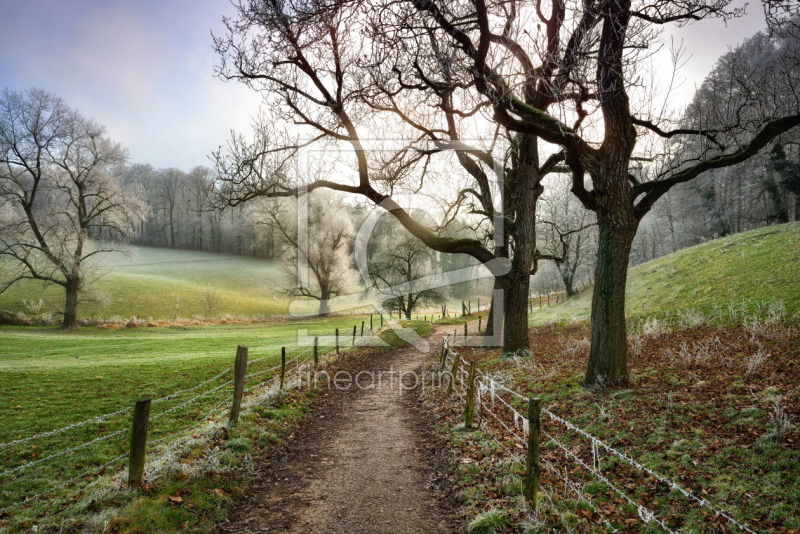 frei wählbarer Bildausschnitt für Ihr Bild auf Grußkarte