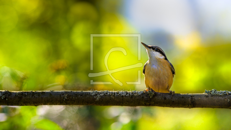 frei wählbarer Bildausschnitt für Ihr Bild auf Grußkarte