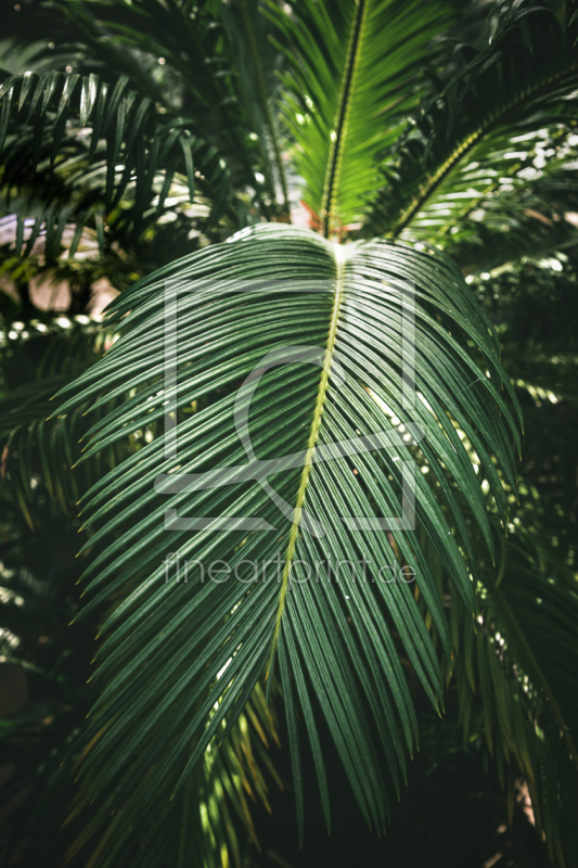 frei wählbarer Bildausschnitt für Ihr Bild auf Grußkarte