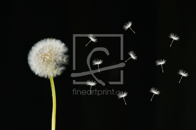 frei wählbarer Bildausschnitt für Ihr Bild auf Grußkarte