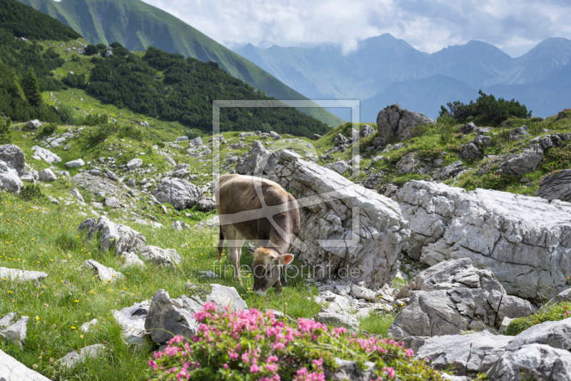 frei wählbarer Bildausschnitt für Ihr Bild auf Grußkarte