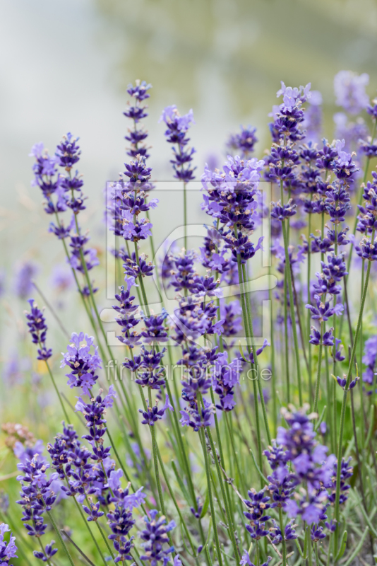 frei wählbarer Bildausschnitt für Ihr Bild auf Grußkarte