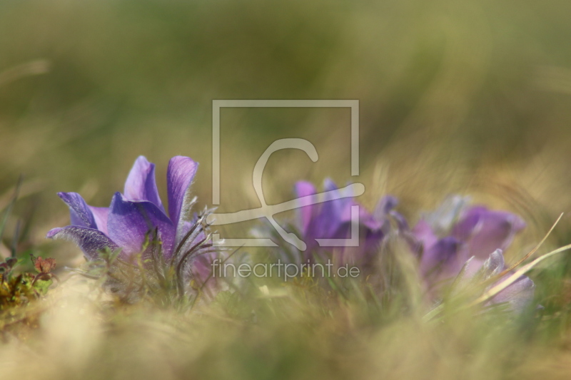 frei wählbarer Bildausschnitt für Ihr Bild auf Grußkarte