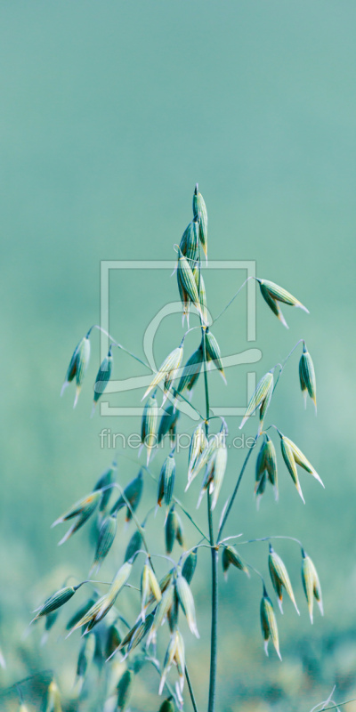 frei wählbarer Bildausschnitt für Ihr Bild auf Grußkarte