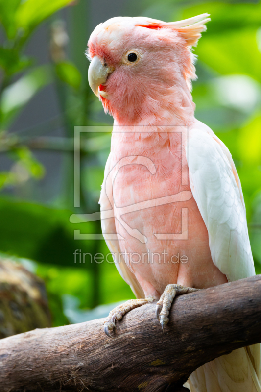 frei wählbarer Bildausschnitt für Ihr Bild auf Grußkarte