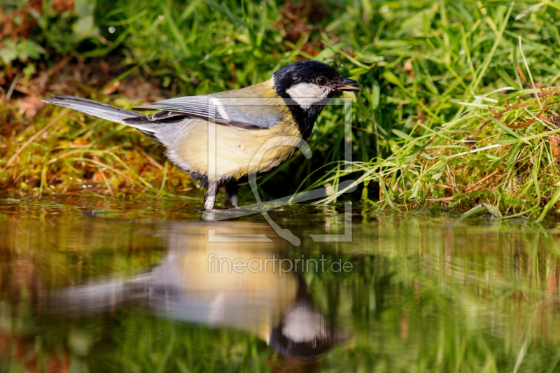 frei wählbarer Bildausschnitt für Ihr Bild auf Grußkarte