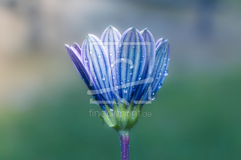 frei wählbarer Bildausschnitt für Ihr Bild auf Grußkarte