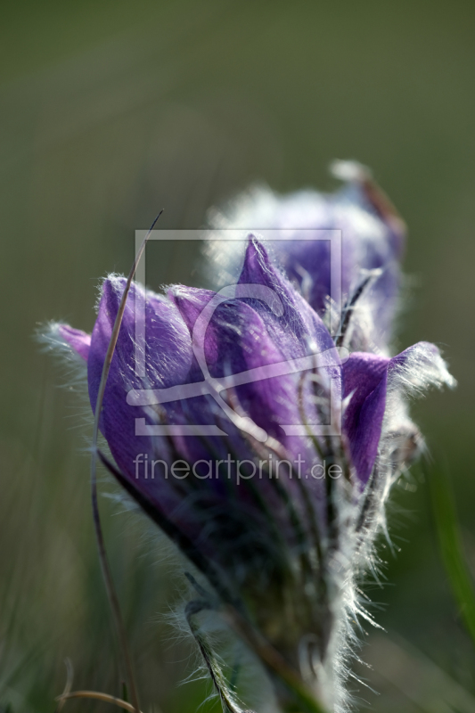 frei wählbarer Bildausschnitt für Ihr Bild auf Grußkarte